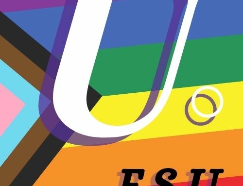 Communiqué FSU 59/62: Lutte contre les LGBTQIA+phobies et marches des fiertés